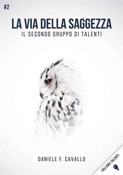 La via del potere. Il primo gruppo di talenti - Daniele Francesco Cavallo - ebook