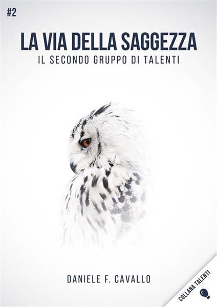 La via della saggezza. Il secondo gruppo di talenti - Daniele Francesco Cavallo - ebook