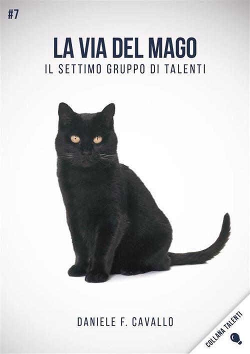 La via del mago. Il settimo gruppo di talenti - Daniele Francesco Cavallo - ebook