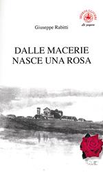 Dalle macerie nasce una rosa