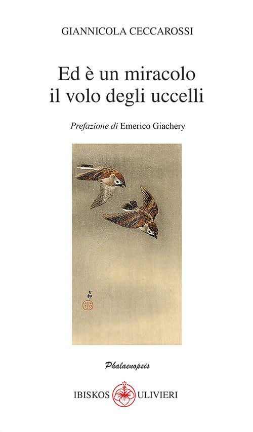 Ed è un miracolo il volo degli uccelli - Giannicola Ceccarossi - copertina