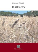 Il grano