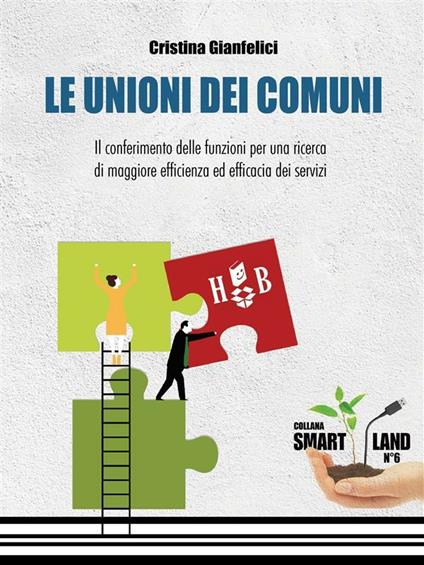 Le unioni dei Comuni. Il conferimento delle funzioni per una ricerca di maggiore efficienza ed efficacia dei servizi - Cristina Gianfelici - ebook