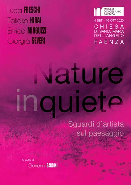 Nature inquiete. Sguardi d'artista sul paesaggio - Luca Freschi,Takako Hirai,Enrico Minguzzi - copertina