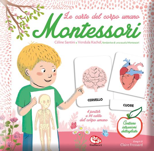 Le carte del corpo umano. Montessori - Céline Santini,Vendula Kachel - copertina