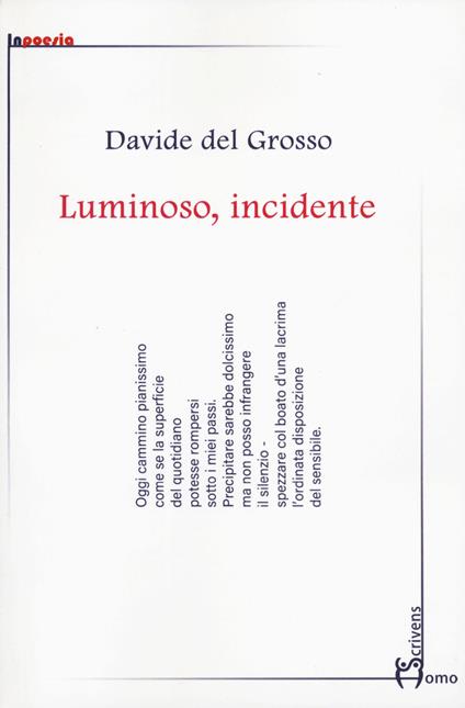 Luminoso, incidente - Davide Del Grosso - copertina