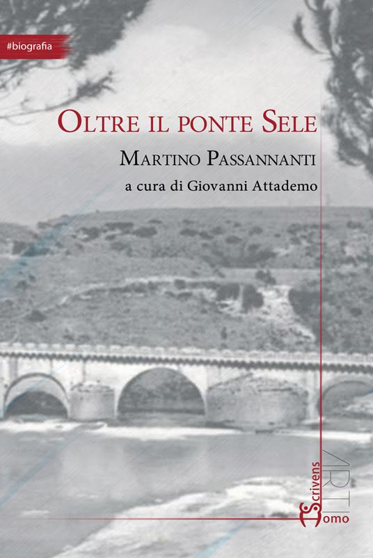 Oltre il ponte Sele - Martino Passannanti - copertina