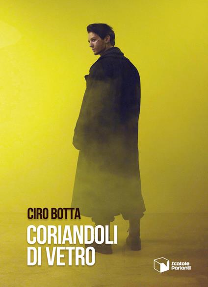 Coriandoli di vetro - Ciro Botta - copertina