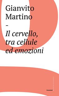 Il cervello, tra cellule ed emozioni