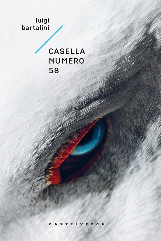 Casella numero 58 - Luigi Bartalini - copertina