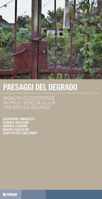 Paesaggi del degrado. Indagini ed esperienze in Friuli Venezia Giulia tra rischi e degradi - Salvatore Amaduzzi,Giorgia Bressan,Andrea Guaran - copertina