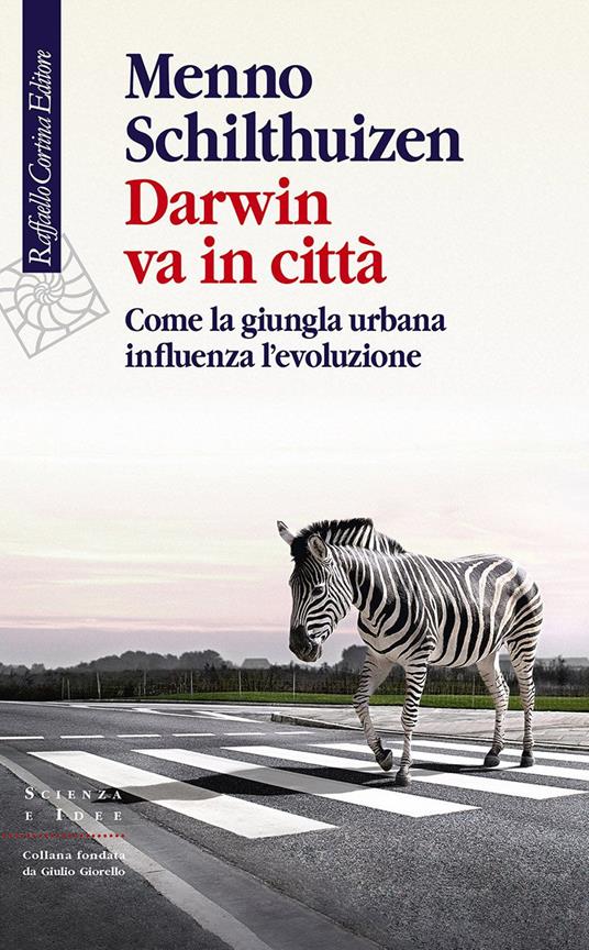 Il grande libro degli ambienti - Giorgio P. Panini. Libro usato