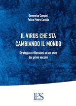 Il virus che sta cambiando il mondo. Strategia e riflessioni ad un anno dai primi vaccini