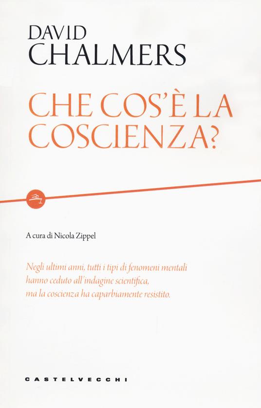 Che cos'è la coscienza? - David Chalmers - copertina