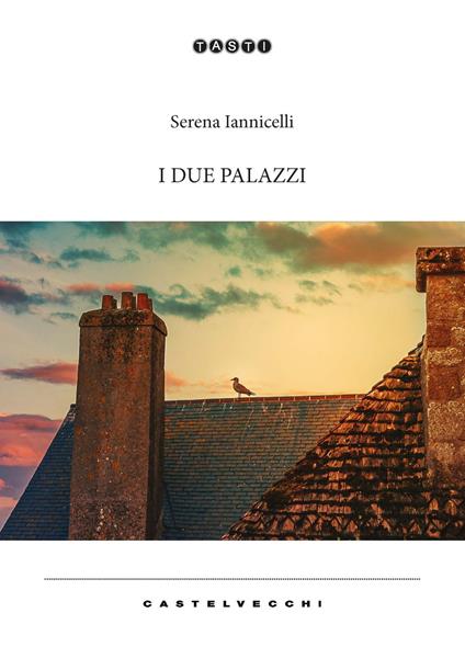 I due palazzi - Serena Iannicelli - copertina