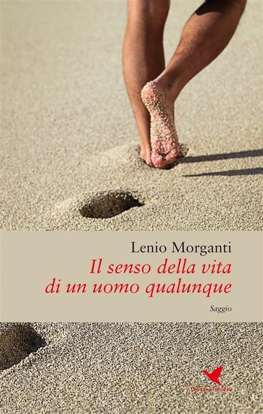 Il senso della vita di un uomo qualunque - Lenio Morganti - ebook