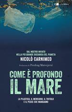 Come è profondo il mare. La plastica, il mercurio, il tritolo e il pesce che mangiamo