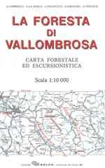 La foresta di Vallombrosa. Carta forestale ed escursionistica 1:10.000