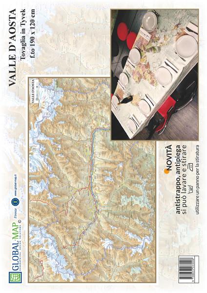 Valle d'Aosta (carta in Tyvek cm 190x120) - copertina