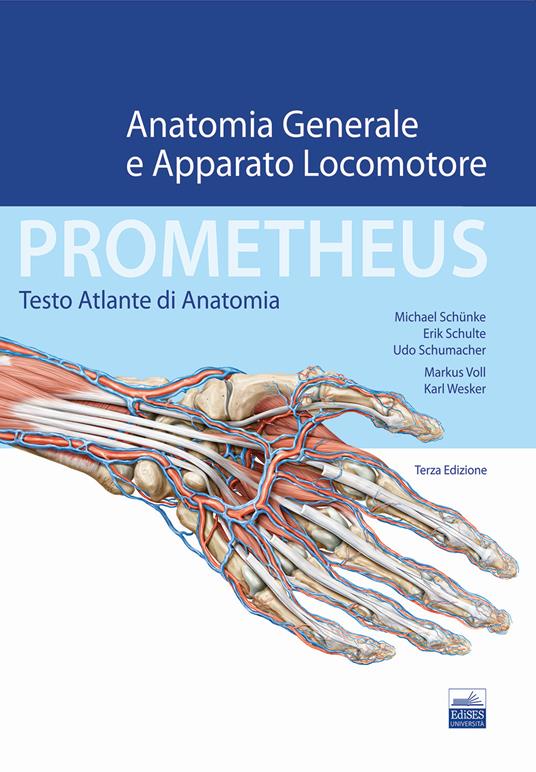 Prometheus. Testo atlante di anatonomia. Anatomia generale e apparato  locomotore di Michael Schünke, Erik Schulte con Spedizione Gratuita -  9788833190563 in Anatomia