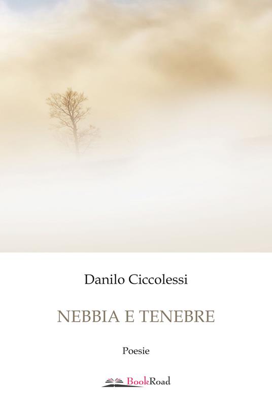 Nebbia e tenebre - Danilo Ciccolessi - copertina