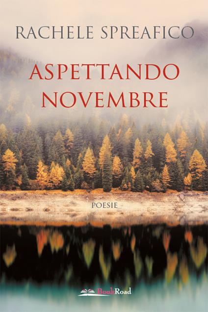 Aspettando novembre - Rachele Spreafico - ebook