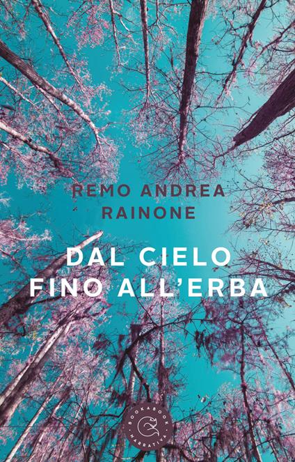 Dal cielo fino all'erba - Remo Andrea Rainone - copertina