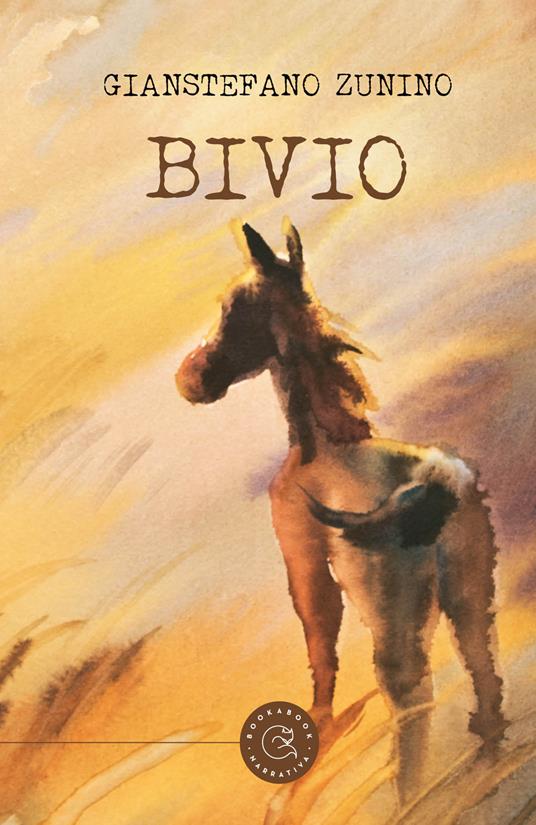 Bivio - Gianstefano Zunino - copertina