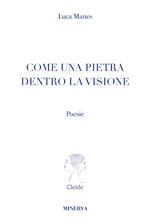 Come una pietra dentro la visione