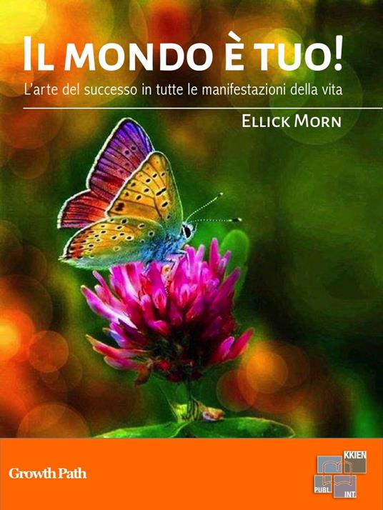 Il mondo è tuo. Arte per avere successo - Ellick Morn - ebook