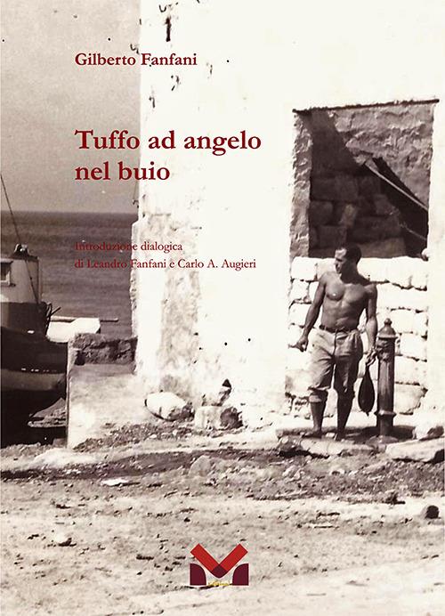 Tuffo ad angelo nel buio - Gilberto Fanfani - copertina