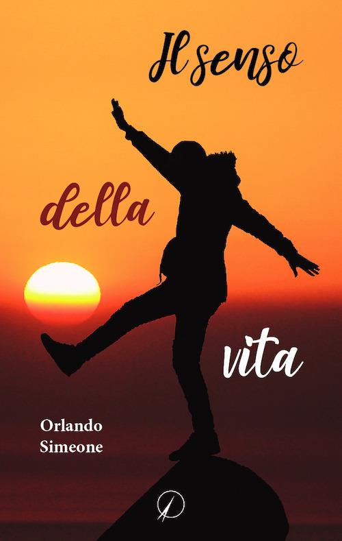 Il senso della vita - Orlando Simeone - copertina