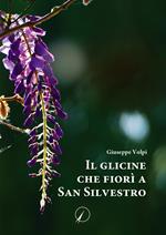 Il glicine che fiorì a San Silvestro