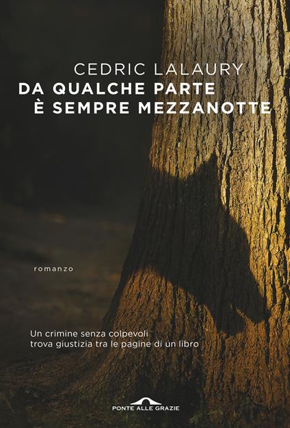 Da qualche parte è sempre mezzanotte - Cedric Lalaury - copertina