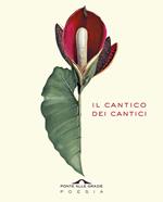 Il cantico dei cantici. Testo ebraico a fronte