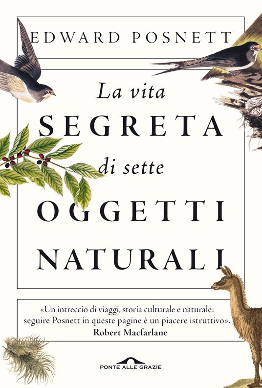 La vita segreta di sette oggetti naturali - Edward Posnett - ebook