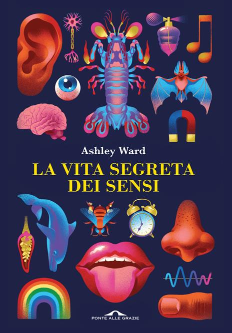 La vita segreta dei sensi - Ashley Ward - copertina