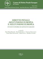 Diritto penale dell'Unione Europea e nell'Unione Europea