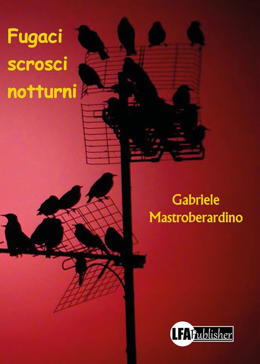 Fugaci scrosci notturni - Gabriele Mastroberardino - copertina