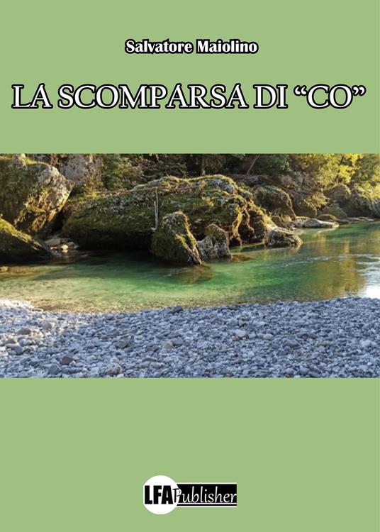 La scomparsa di «co» - Salvatore Maiolino - copertina