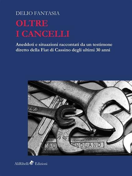 Oltre i cancelli. Aneddoti e situazioni raccontati da un testimone diretto della FIAT di Cassino degli ultimi 30 anni - Delio Fantasia - ebook