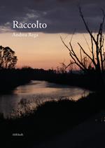 Raccolto