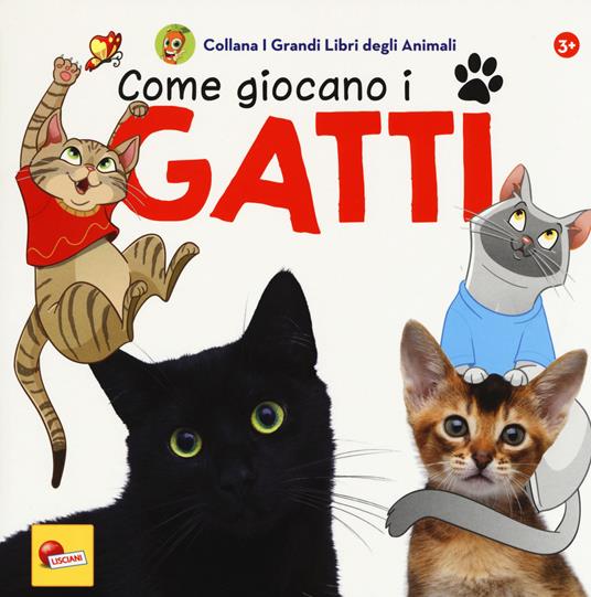 Come giocano i gatti. I grandi libri degli animali. Ediz. a colori -  Caterina Falconi - Libro - Liscianilibri - | IBS