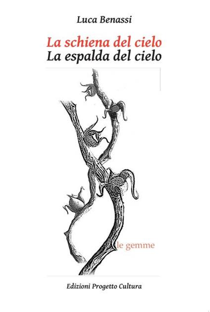 La schiena del cielo. Antologia poetica-La espalda del cielo. Antología poética - Luca Benassi - copertina