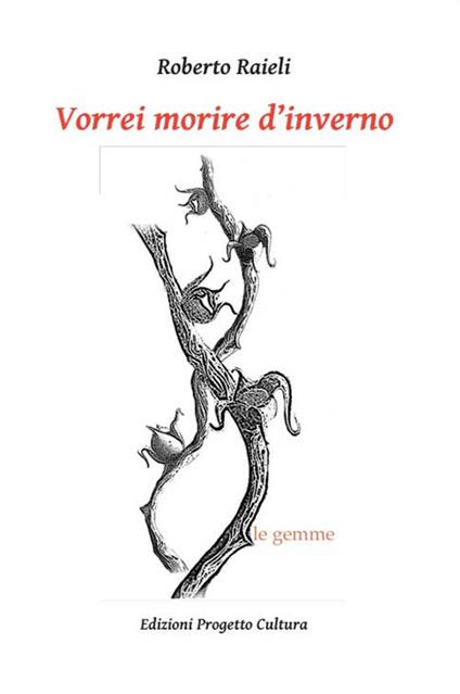 Vorrei morire d'inverno - Roberto Raieli - copertina