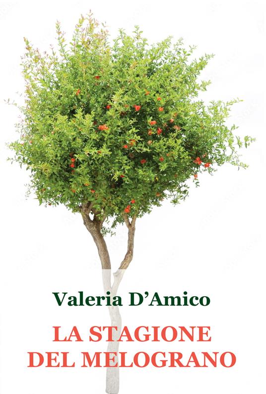 La stagione del melograno - Valeria D'Amico - copertina