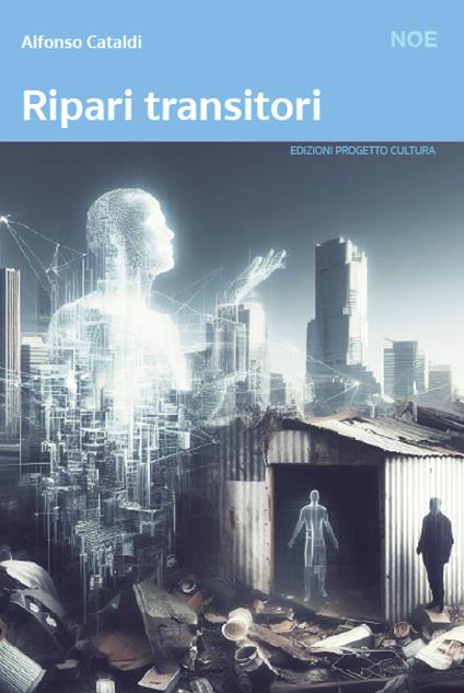 Ripari transitori - Alfonso Cataldi - copertina