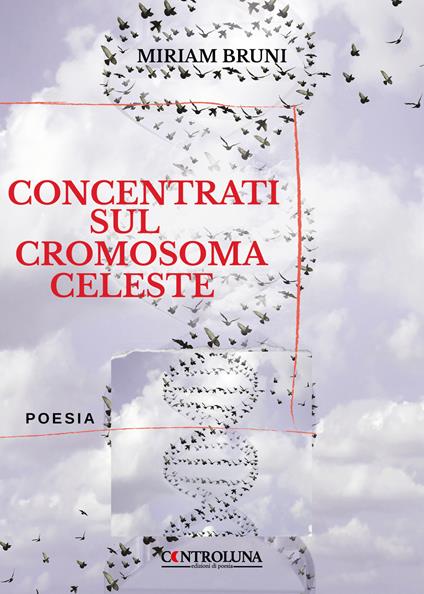 Concentrati sul cromosoma celeste - Miriam Bruni - copertina