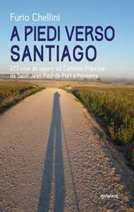 Image of A piedi verso Santiago. 227 cose da sapere sul cammino francese da Saint-Jean-Pied-de-Port a Finisterre