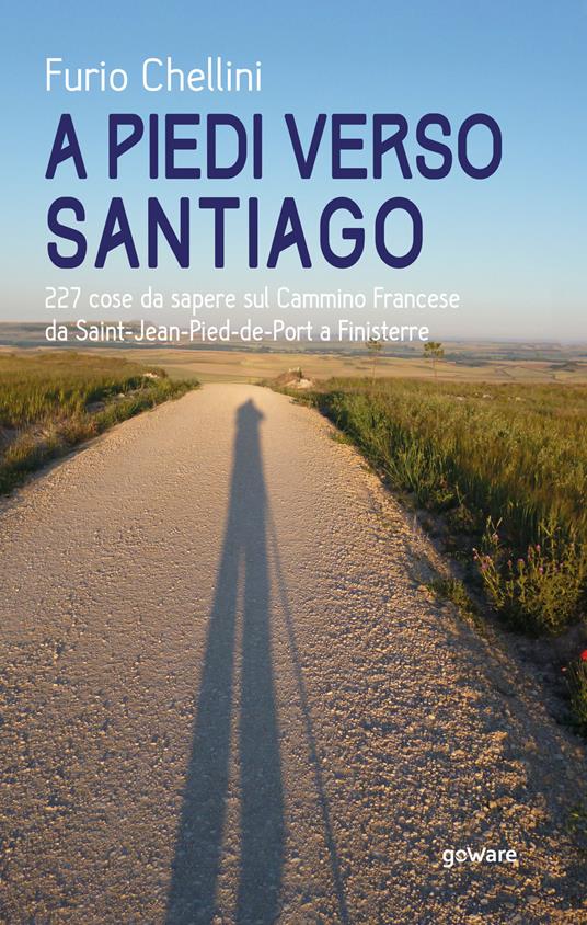 A piedi verso Santiago. 227 cose da sapere sul cammino francese da Saint-Jean-Pied-de-Port a Finisterre - Furio Chellini - copertina